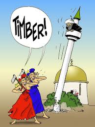 Minaret-Suisse-1