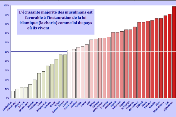 Pourcentages pro-charia